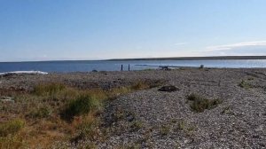 Почему в Краснено мало рыбаков? Трофейная рыбалка на Чукотке