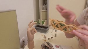 стала травницей!? как ею стать? приятного просмотра❤️🌿