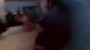 hudson capoeira 2