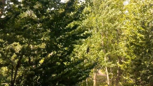 Всем доброго утра и с Праздником с Днём Казанской божий матери 21.07.+18 смотреть онлайн