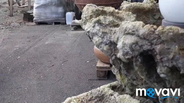 Влог: Для пруда кувшин/ Что выбрать?/ Обзор/ 11 июля 2018 г. смотреть онлайн