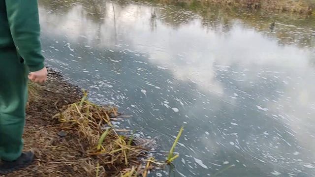 Как ловятся белорусские креветки в Белоозёрске