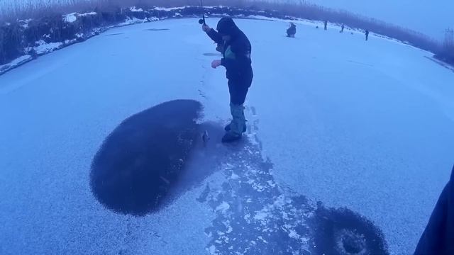 СУПЕР СНАСТЬ НА КАРАСЯ !!! CATCHING OF EUROPEAN CARP ON CONE AND SPOON-BAIT I смотреть онлайн
