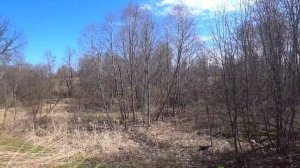 ПРОДОЛЖАЕМ ИССЛЕДОВАТЬ НОВЫЕ МЕСТА ДЛЯ МЕТАЛЛОКОПА ПО СТАРЫМ КАРТАМ. МЕТАЛЛОПОИСК, ВЕСНА 2023