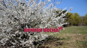 Весна вновь наш край посетила