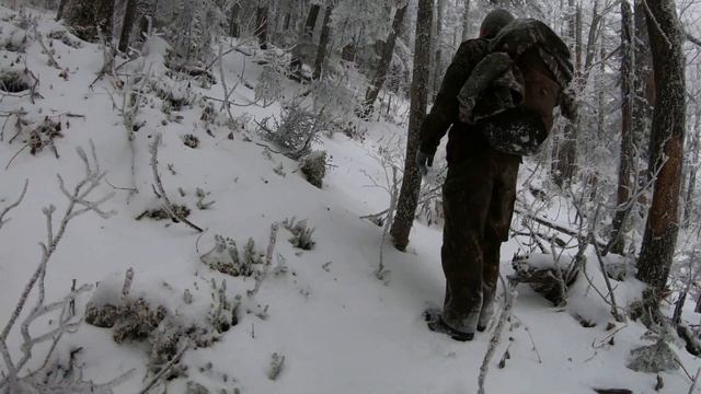 голец 13.11.2022 (после дождя и снега и похолодания) смотреть онлайн