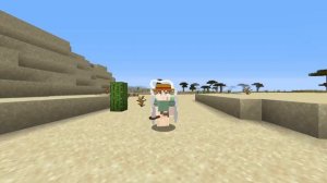 Gear 5th In One Piece Minecraft!