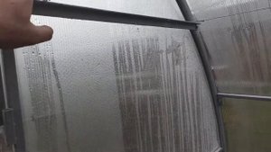 Натяжка шпалеры в теплице под виноград с учётом опыта 2-х теплиц с виноградом!