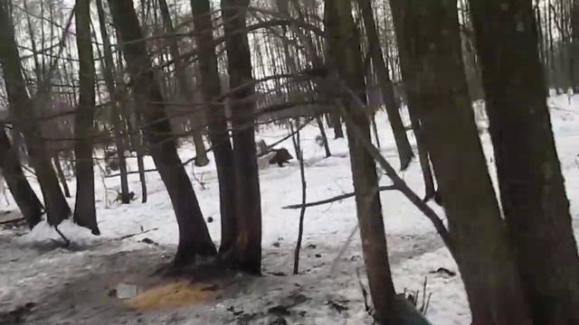 Помочь? Западники и карелка на кабана смотреть онлайн