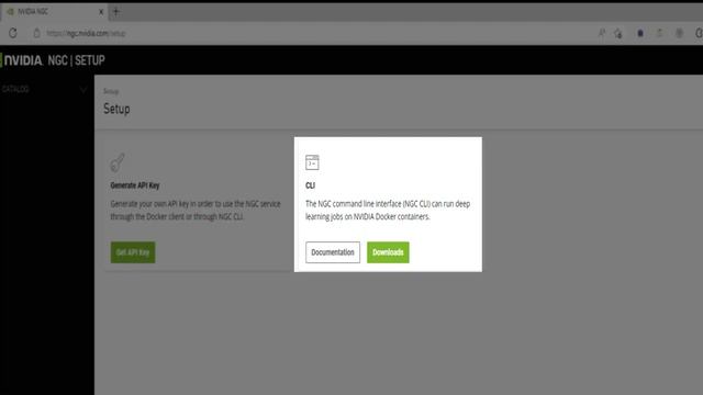 Getting Started with NGC Part 1: NGC API Key Generator смотреть онлайн