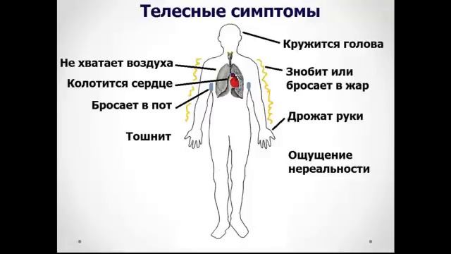 Паническая атака симптомы. Смотрите про симптомы панической атаки