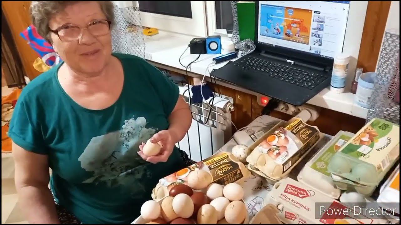 Правила успешной инкубации) смотреть онлайн