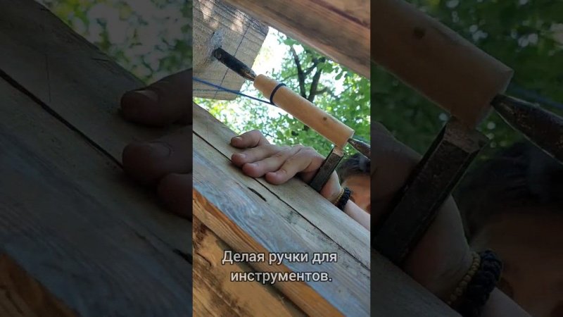 А вы используете лесную древесину? #survival #bushcraft #выживание #бушкрафт #forest