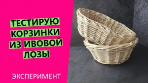 ЭКСПЕРИМЕНТ! ??Тестирую корзинки из ИВОВОЙ лозы