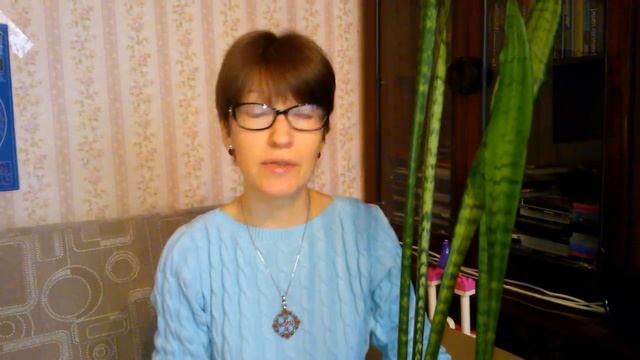 Мои комнатные растения. Сансевиерия (тещин язык): уход смотреть онлайн