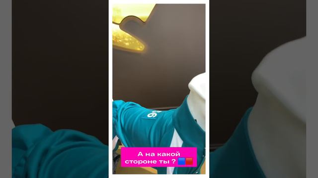 Костюмы для собак - Игра в кальмара смотреть онлайн