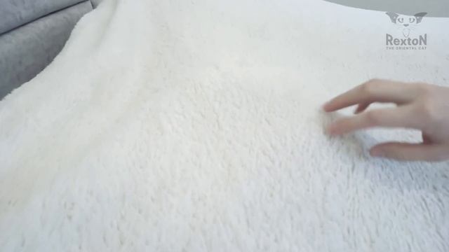 Кот Ориентал Разговаривает