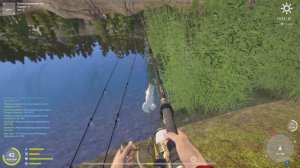 Русская рыбалка 4 / оз. Куори / Щука (трофей) на живца, прощание с водоемом перед обновой