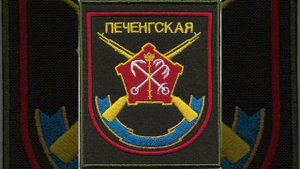 200 отдельная краснознаменная бригада арктическая Печенга Мурманская в/ч 08275 шеврон омсбр