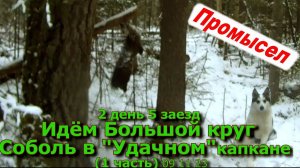 2 день Большой круг Соболь в "Удачном" капкане (1 часть) 09 11 23