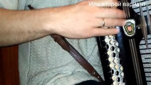 Сектор Газа - Взял вину на себя на баяне