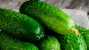 Как хранить свежие огурцы