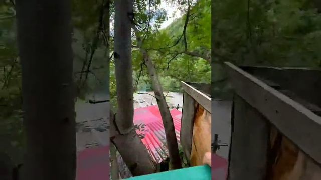 Ислам Махачев ушёл в горы на два месяца - Хамзат Чимаев Реза и Белал готовятся на свадьбу Амру ? смотреть онлайн