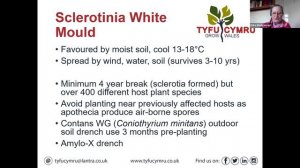 Tyfu Cymru Webinar: Disease in salad crops - How to save losses