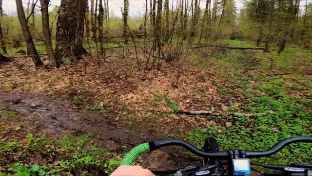 Что таит в себе Лосиный остров? Пытаемся проехать насквозь, через болотистые дебри / Май 2023 смотреть онлайн