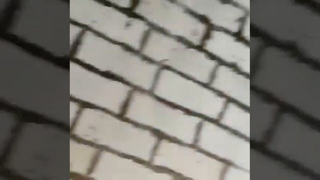 Приточно-вытяжная вентиляционная установка RC250 в коттедже смотреть онлайн