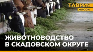 В Херсонской области продолжает развиваться отрасль животноводства