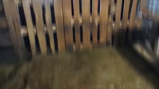 Обзор хозяйства в апреле: мехеленская кукушка, ландрасы, китайсковая шелковая..."Мое Подворье" смотреть онлайн