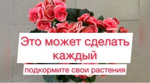 Подкормка для рассады и комнатных растений.