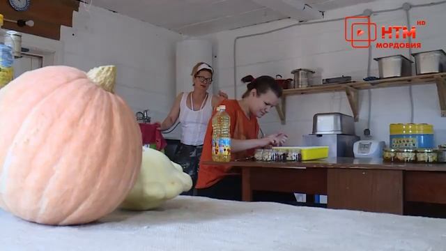Шокша-Мардарика: варим сыр и ждём туристов смотреть онлайн