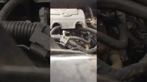 Запуск ДВС на холодную. KIA Sportage III исправный ДВС