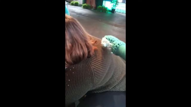 Knit bench yarn bomb art installation for GitKraken at GitHub Universe 2015 in San Francisco смотреть онлайн