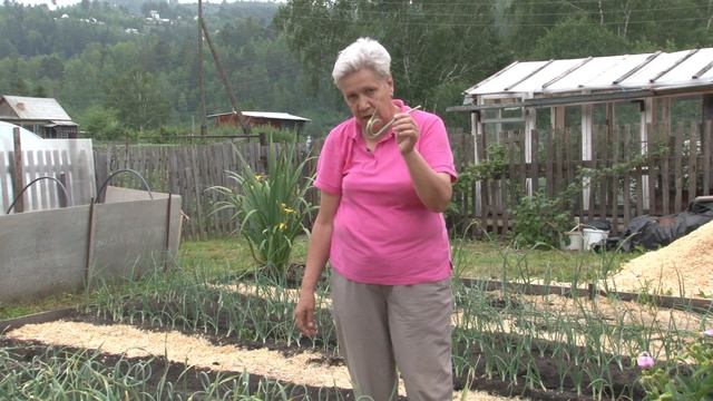 Голова садовая - ВАЖНО! Зачем удалять стрелки у чеснока смотреть онлайн