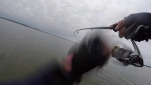 Evergreen Poseidon SQUIDLAW 710