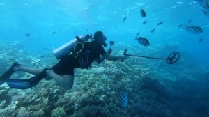 Одной находкой окупил поездку в Египет! Дайвинг с металлоискателем Deus2! Ищу Золото там где нельзя