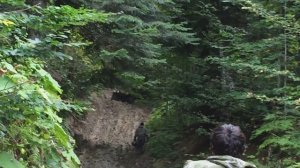 Через горы к морю - экстремальный тур на квадроциклах. Из Адыгеи к Черному морю