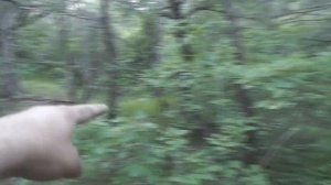 поиск золота краснодарского края находка золотой цепочки с кулоном