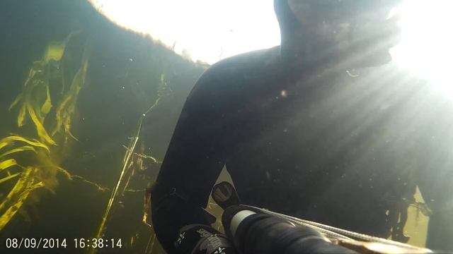 селфи подводная охота смотреть онлайн