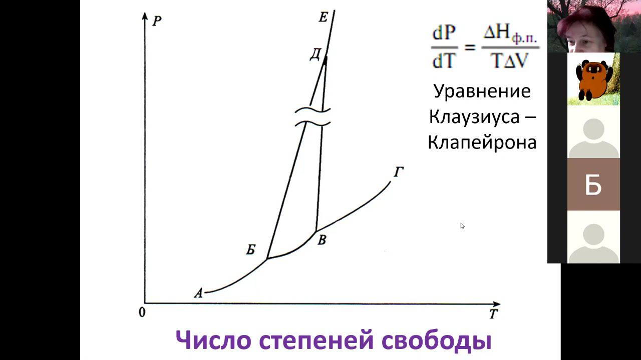 09 Фазовые диаграммы 4 особенности