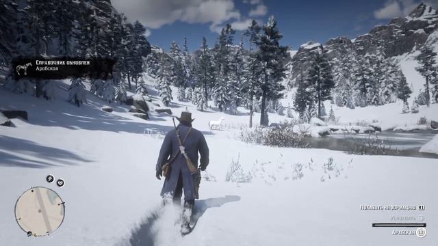 Red Dead Redemption 2 Гайд где найти и как приручить самую быструю лошадь смотреть онлайн