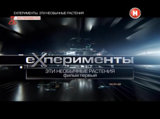 eXперименты. Эти необычные растения. Фильм 1.