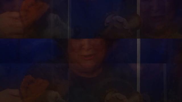 Дюймовочка смотреть онлайн