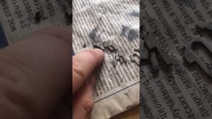 Ремонт замка зажигания Хонды Цивик 4D 2007 года выпуска.ч.2. +79039770050