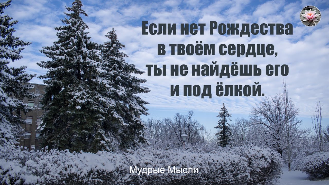 Что же это такое – Рождество | Цитаты великих людей про Рождество смотреть онлайн