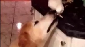 "Есть друзья, а для них, у друзей нет выходных!!!"