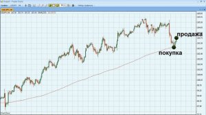 Освоить трейдинг может каждый